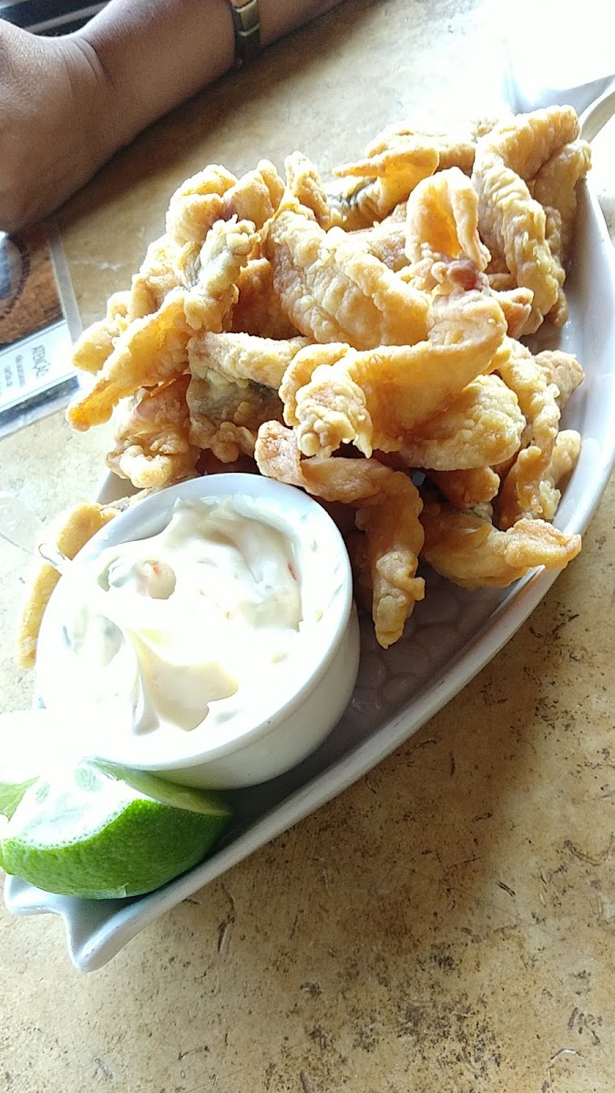 Pesqueiro E Restaurante Piracatu-5